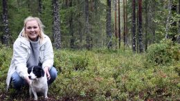 Oululainen Jenna Sivonen on perustanut koirametsän Ylikiimingin Jokikokon Vanhanrannantielle. Hän on tehnyt isänsä Jarmo Sivosen kanssa kesän mittaan töitä koirametsän raivaus- ja rakennustöissä. Nyt Jennan Elsa-koirakin pääsi nauttimaan alkusyksyn tunnelmista koirametsässä. (Kuva: Teea Tunturi)