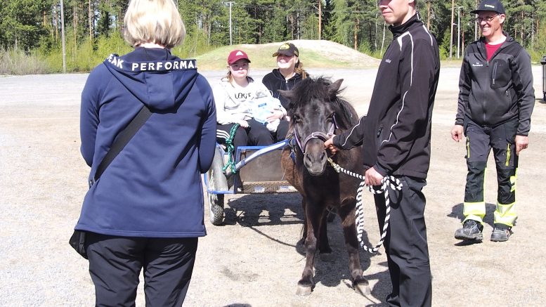 Jussi Tiiron taluttama, jo parinkymmenen vuoden ikään ehtinyt Mörkö-poni ei turhia hötkyillyt, vaikka kyytiläisiä riitti. Ja mikäpäs oli kärryä vedellä, kun joka kierroksen päätteeksi sai vielä porkkanoita palkkioksi. Kuvat: Ritva Piri