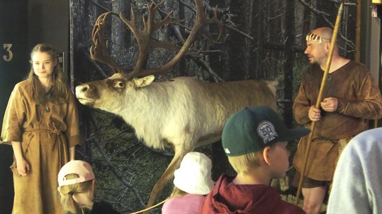 Museolehtori Sami Viljanmaa ja opas Marjo Heikkinen kertoivat metsäpeuran olleen kivikauden asukkaiden tärkein riistaeläin. Porosta metsäpeura erottuu kapeammalle kasvavien sarvien ja pitempien jalkojen ansiosta. (Kuva: Ritva Piri)