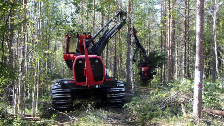 Puunkorjuunäytöksessä päästiin näkemään metsäkone työssään. Kuvat: Joni Nalli