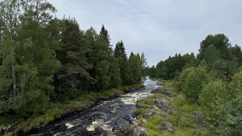 Koitelinkoski on kaunis ja helppokulkuinen retkeilypaikka luonnon helmassa. Kuvat: Thelma Lohilahti