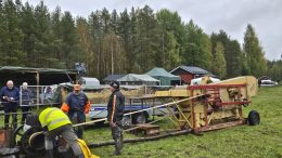 Kostea keli pisti kapuloita rattaisiin, kun maamoottorin pyörittämällä puimakoneella aloitettiin puintinäytöstä. Lopulta remmi saatiin kuivaksi ja homma käyntiin.