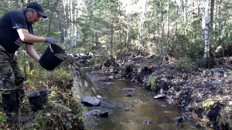 Esa Nikkinen oli yksi Haukiputaan-Onkamonselän yhteismetsän hoitokunnan talkoisiin osallistuneista. Kuvat: Heikki Aarnipuro.