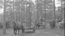 Ilman suomenhevosta ei olisi talvisotakaan onnistunut. Kuvassa on muonan jakopaikka ylimääräisten harjoitusten aikana lokakuussa 1939 Karjalankannaksella. SA-kuva-arkisto