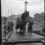 Kuvaan liitetty teksti: Siirtoväki palaa kotialueelleen Iihin. Haukipudas 28.9.1944.