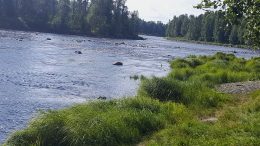 Nousevatko lohikalat kutemaan kunnostettuun Sämppikoskeen Haukiputaan Asemakylässä? Sitä toivotaan. Kuva: Pasi Haapakangas