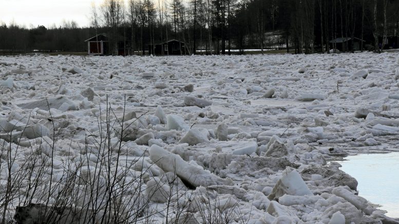 Ajoittain mahdollisesti tulviva Kiiminkijoki sekä valituksen alaisena oleva kaava aiheuttavat tällä hetkellä Oulun kaupungilla eriäviä näkemyksiä siitä, onko rantarakentaminen syytä sallia tietyille alueille Kiimingin Alakylässä. Lusikkansa soppaan on laittanut Suomen luonnonsuojeluliiton Oulun yhdistys, joka valittaa tehdyistä päätöksistä korkeimpaan hallinto-oikeuteen. Arkistokuva: Teea Tunturi