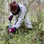 MARRASKUU. Ylikiimingissä Matti Koistinaho etsi saksalaissotilaiden ruumiita, jotka on perimätiedon mukaan oletettavasti haudattu vanhan tervahaudan kupeeseen syyskuussa 1944. Koistinaho uskoo, että metallinpaljastimen avulla esimerkiksi vuoristojääkäreiden rautasaappaat paljastaisivat ruumiiden olinpaikat vielä vuosikymmenten jälkeenkin. Ennen roudan tuloa ruumiita ei vielä kuitenkaan löytynyt. Kuva: Teea Tunturi