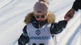 Kaksivuotias Matilda Hiltunen osallistui ensimmäisiin hiihtokisoihin Jäälin talvitapahtuman nappulahiihdoissa ja sai maaliviivalla komeat aplodit reippailusta. Kuvat: Anu Kauppila.